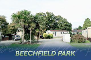 Beechfield Park, Chichester, West Sussex