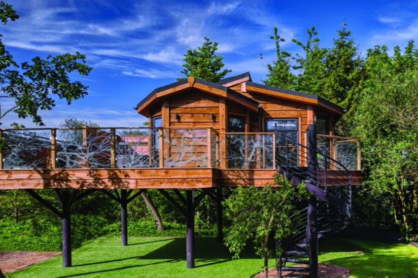 The Tree House The Tree House