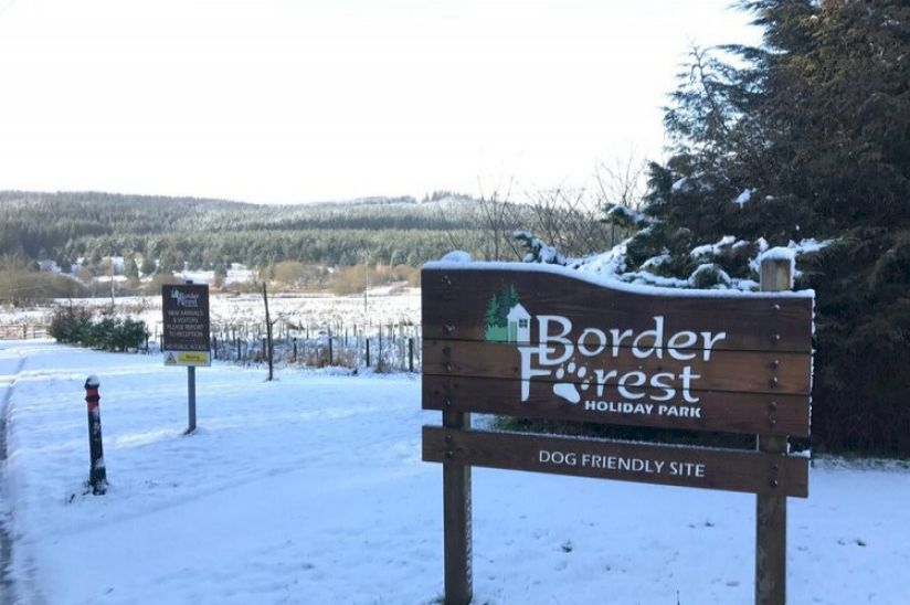 Border Forest Lodges Border Forest Lodges