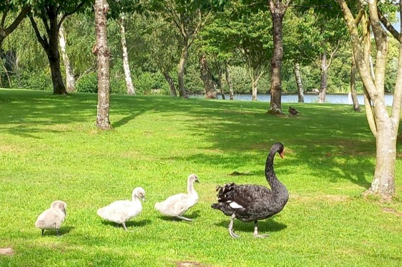 Brynteg Holiday Park