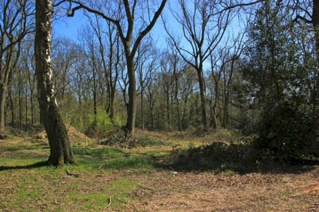 Charnwood Acres Park Lodges Charnwood Acres Park Lodges