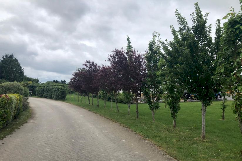 Lillybrook Park