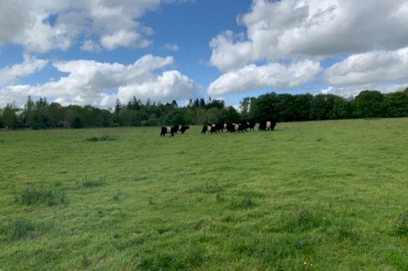 Newbridge Country Park