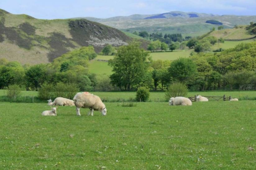 Erwbarfe Farm Caravan Park Erwbarfe Farm Caravan Park
