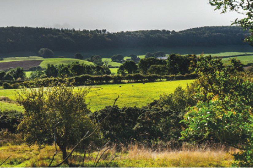 Applegrove Country Park