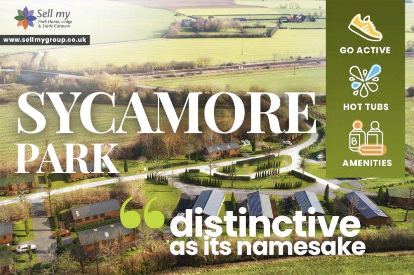 Sycamore Park- Holiday Homes For Sale in Yorkshire Sycamore Park- Holiday Homes For Sale in Yorkshire
