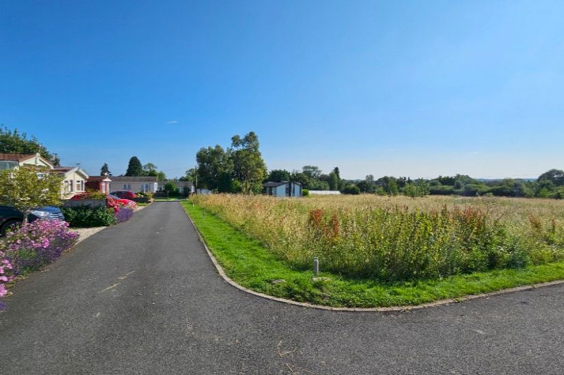 Arden Meadow Arden Meadow