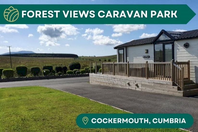 Forest Views Caravan Park Forest Views Caravan Park
