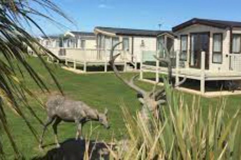 Dolphin Caravan Park Dolphin Caravan Park