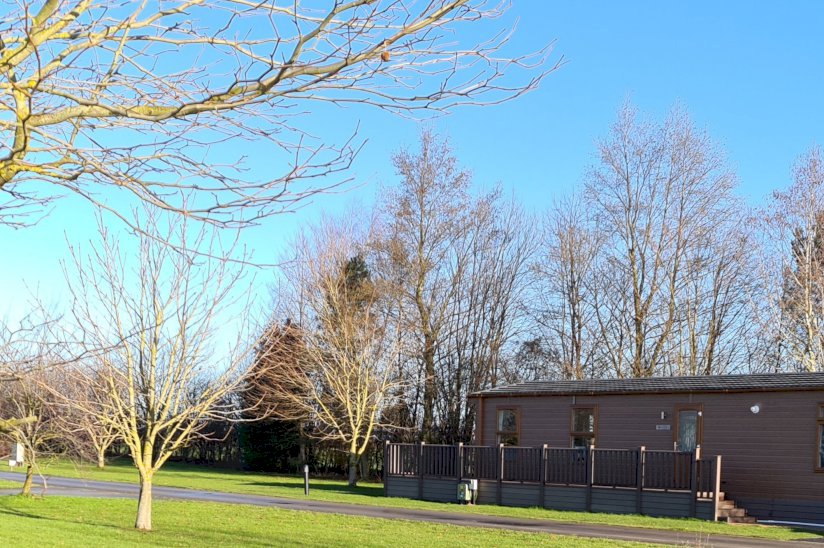Sycamore Park
