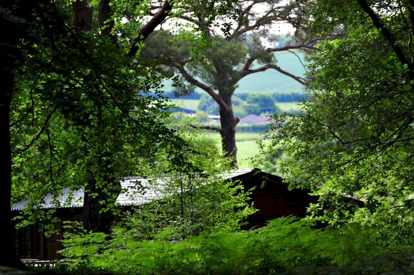 Whitstone Holiday Park Whitstone Holiday Park