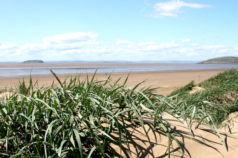 Yellow Sands Holiday Park