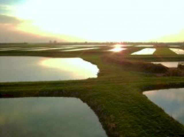 Willowcroft Fisheries and Caravan Park