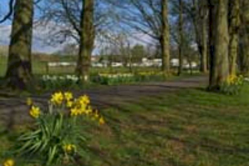 Greenwood Leghe Caravan Park Greenwood Leghe Caravan Park