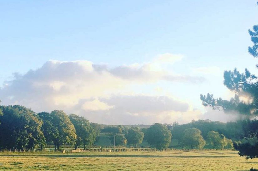 Overbrook Caravan Park Overbrook Caravan Park
