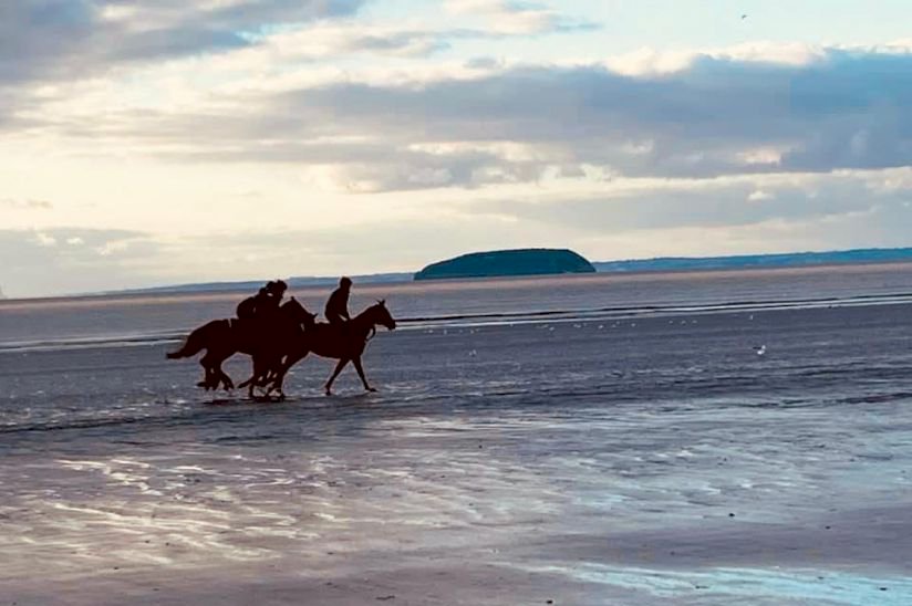 Yellow Sands Holiday Park
