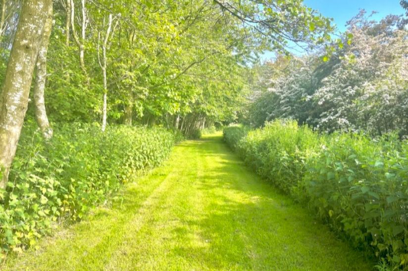 Queensland Country Park - Lodges For Sale in Lancashire Queensland Country Park - Lodges For Sale in Lancashire