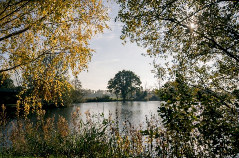 Waveney Valley Lakes