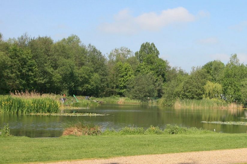Whitearch Park Whitearch Park