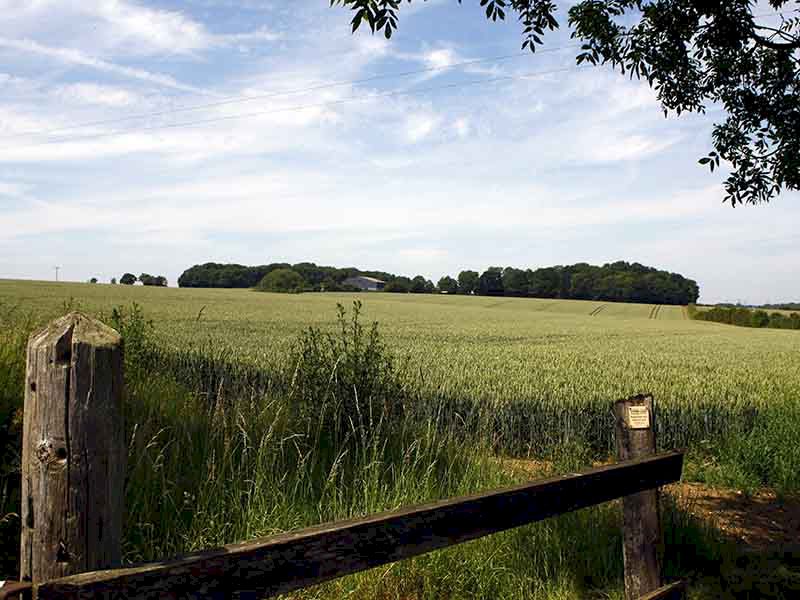 Saxon Residential Park Homes For Sale, Ipswich Saxon Residential Park Homes For Sale, Ipswich