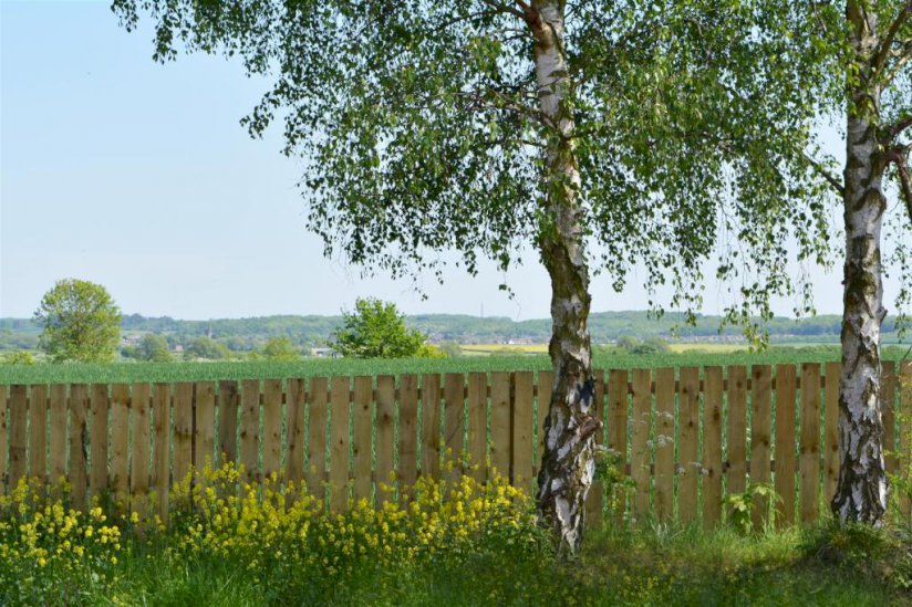 Tollerton Park Residential Homes For Sale, Nottinghamshire Tollerton Park Residential Homes For Sale, Nottinghamshire