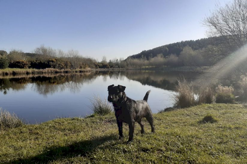 Forest Views Caravan Park
