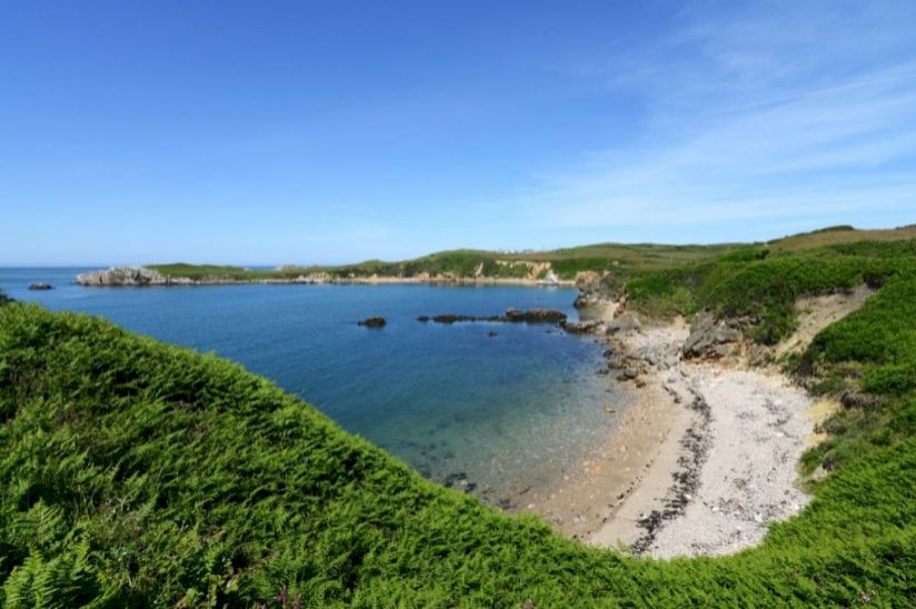 Coed Aros, Anglesey Coed Aros, Anglesey