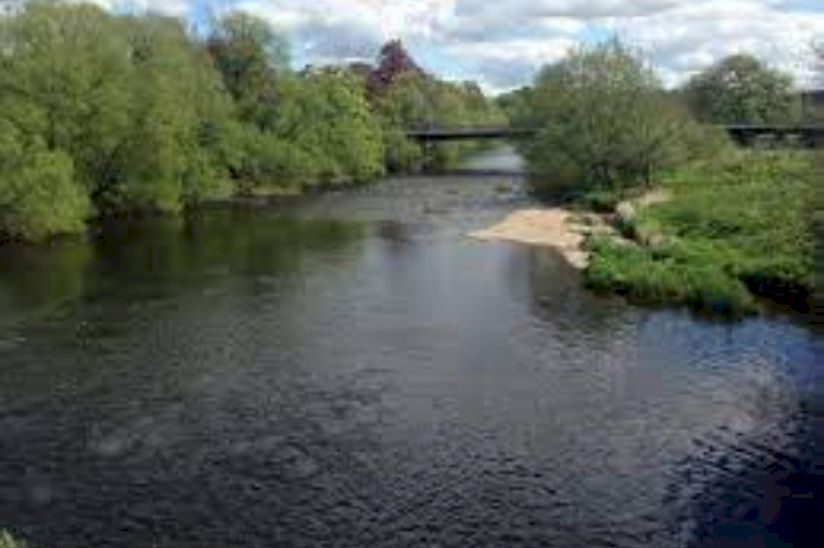 Riverside Meadows Riverside Meadows