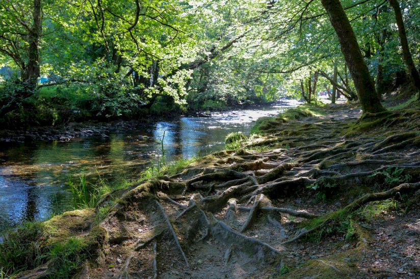 Devon Oaks Residential Park Homes For Sale, Yelverton Devon Oaks Residential Park Homes For Sale, Yelverton