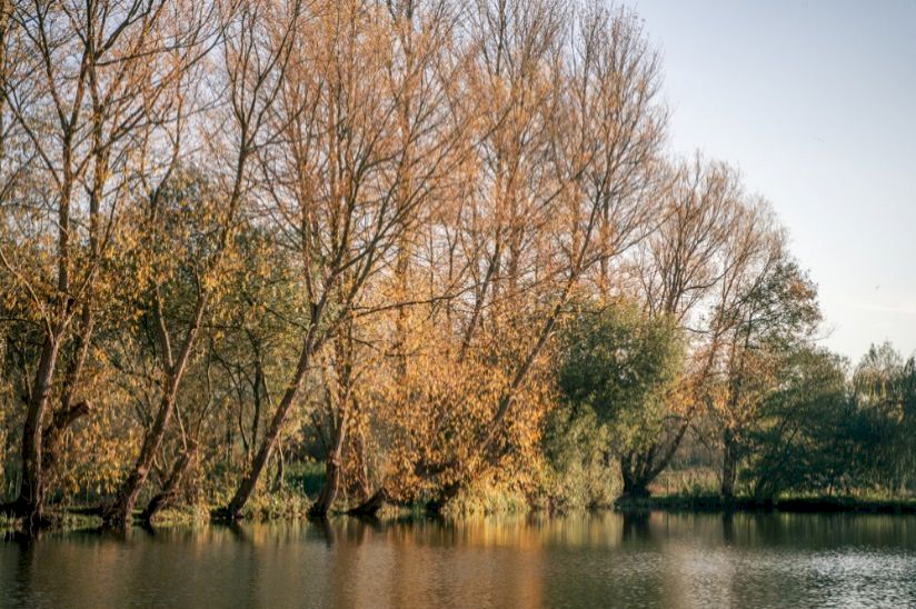 Waveney Valley Lakes