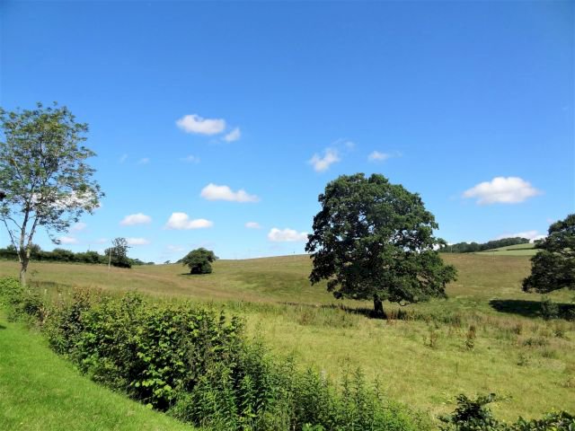 Hillview Lodges