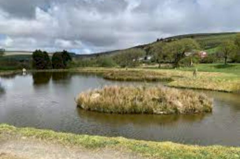 Rosebush Holiday Park Rosebush Holiday Park