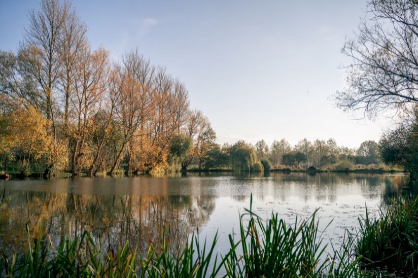 Waveney Valley Lakes