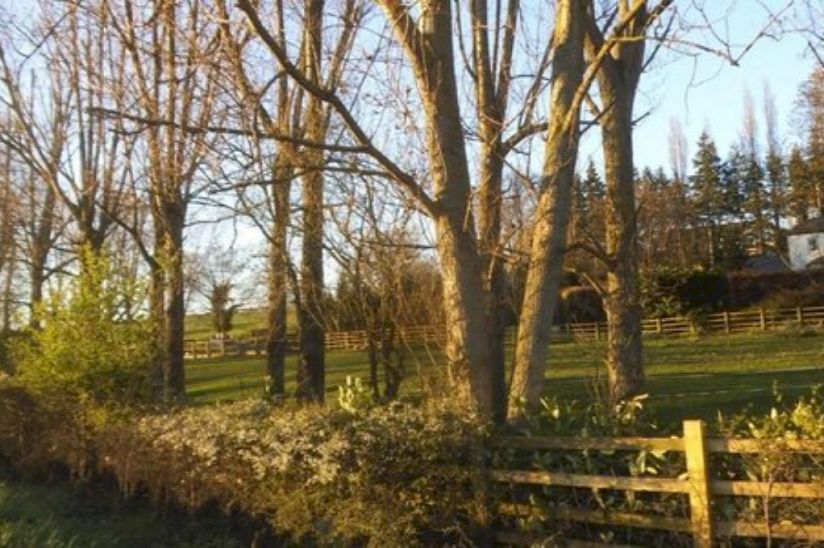 Low Wood Caravan Park Low Wood Caravan Park