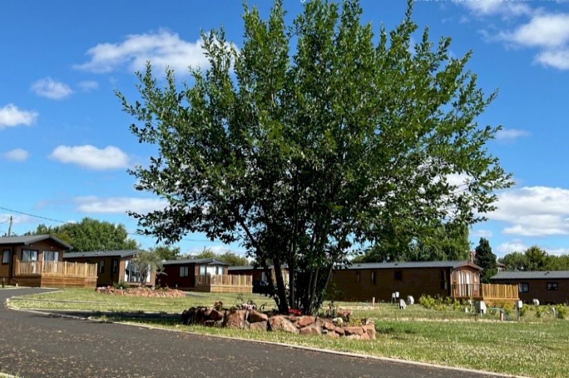 Dalton Meadows Park- Lodges in North Yorkshire Dalton Meadows Park- Lodges in North Yorkshire