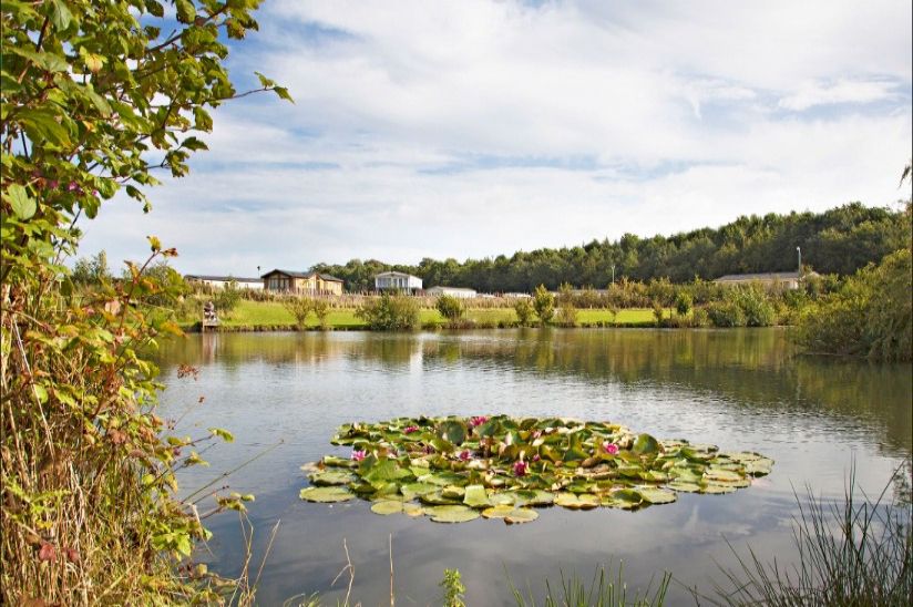 Riverside Caravan Park Riverside Caravan Park