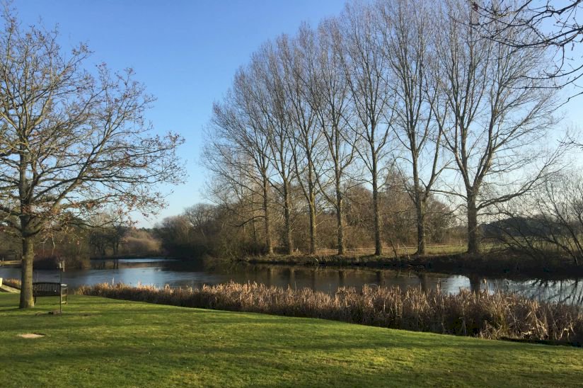 Haveringland Hall Park Houses For Sale, Norfolk Haveringland Hall Park Houses For Sale, Norfolk