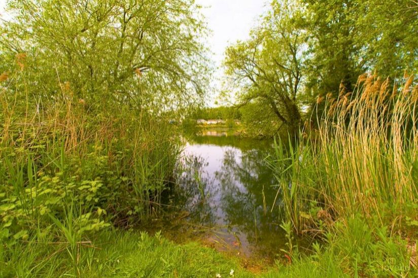 Barton Broads- Park Homes For Sale in Lincolnshire Barton Broads- Park Homes For Sale in Lincolnshire