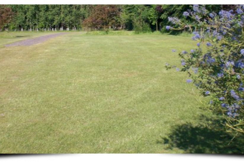 Cobbs Hill Farm Caravan & Camping Park Cobbs Hill Farm Caravan & Camping Park