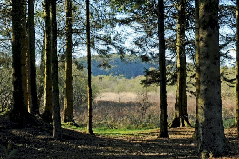 Newby Bridge Caravan Park