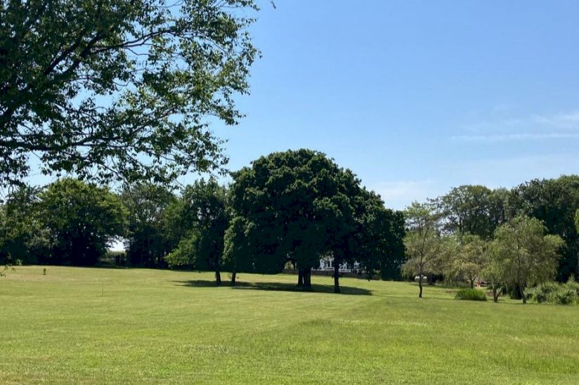 Cannisland Park