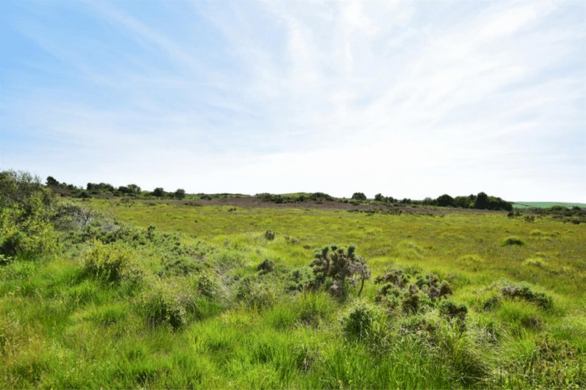 Knoll Park, Park Homes for sale in Dorset - Sell My Group Knoll Park, Park Homes for sale in Dorset - Sell My Group
