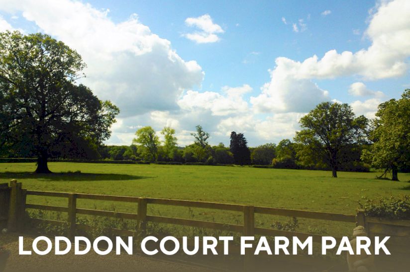 Loddon Court Farm Park Homes For Sale, Spencers Wood, Reading Loddon Court Farm Park Homes For Sale, Spencers Wood, Reading