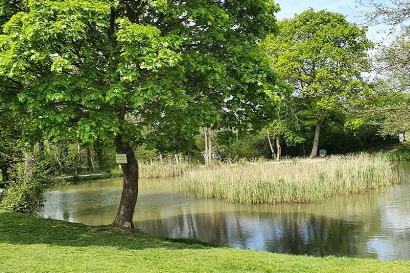 Horam Manor Country Park Horam Manor Country Park
