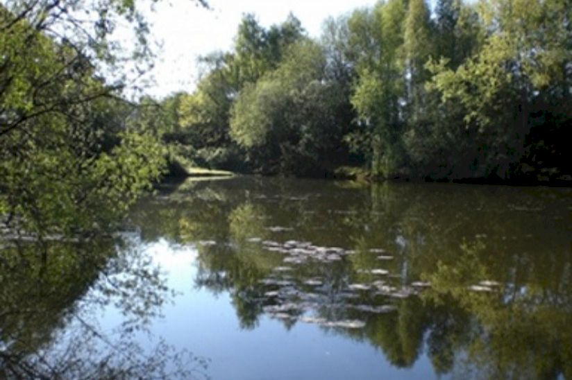 Langmere Lakes