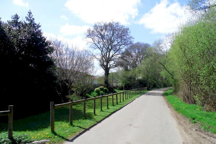 The Orchard