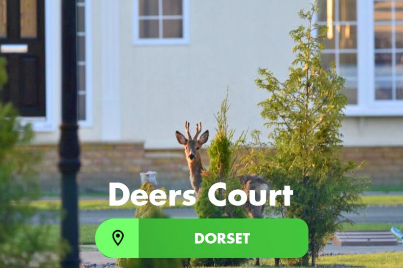Deers Court - Park Homes For Sale in Dorset Deers Court - Park Homes For Sale in Dorset