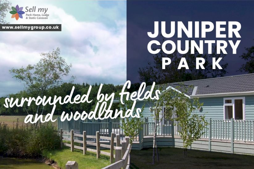 Juniper Country Park - Lodges For Sale in East Sussex Juniper Country Park - Lodges For Sale in East Sussex