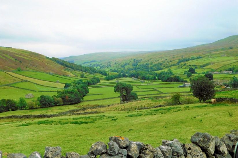Bainbridge Ings - Lodges For Sale in North Yorkshire Bainbridge Ings - Lodges For Sale in North Yorkshire