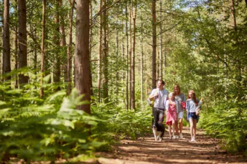 Oakdene Forest Park